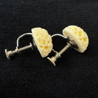 {ۉ CO _AiNo.Z_ER038j