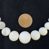 {ۉ lbNXEۋʁiNo.Z_NL013ji