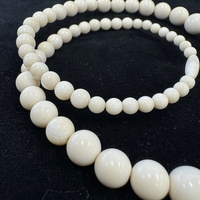 {ۉ lbNXEۋʁiNo.Z_NL013ji