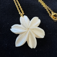 {ۉ y_g E No.1iNo.Z_PNe-03j