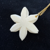 {ۉ y_g E No.1iNo.Z_PNe-03j