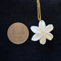 {ۉ y_g E No.1iNo.Z_PNe-03j