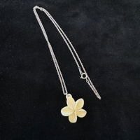 {ۉ y_g E No.2iNo.Z_PNe-04j