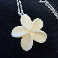 {ۉ y_g E No.2iNo.Z_PNe-04j