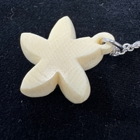 {ۉ y_g E No.2iNo.Z_PNe-04j