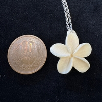 {ۉ y_g E No.2iNo.Z_PNe-04j