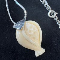 ۉ y_g EUNiNo.Z_PNe-06j