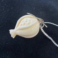 ۉ y_g EUNiNo.Z_PNe-06j