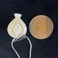 ۉ y_g EUNiNo.Z_PNe-06j