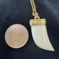 {ۉ y_g E No.2iNo.Z_PNp-08j