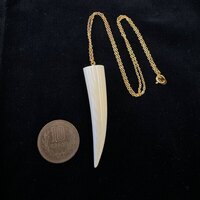 {ۉ y_g E No.3iNo.Z_PNp-09j