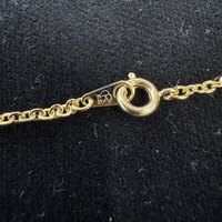 {ۉ y_g E()iNo.Z_PNt-01j