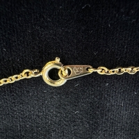 {ۉ y_g E()iNo.Z_PNt-02j