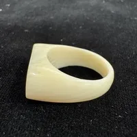 {ۉ w(󂠂EqrA)iNo.Z_RN016j