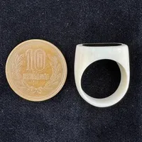 {ۉ w(󂠂EqrA)iNo.Z_RN016j