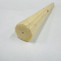 �{�ۉ� �O���� ������/24g�iNo.Hy517_P002)