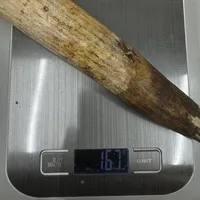 ͔n()/ 167g/iiNo.k_a004)