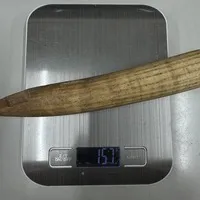 ͔n()/ 157g/iiNo.k_a005)
