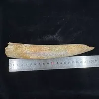 ͔n()/ 175g/iiNo.k_a008)