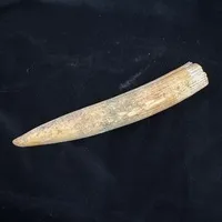 ͔n()/ 175g/iiNo.k_a008)