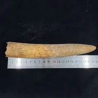͔n()/ 153g/iiNo.k_a009)