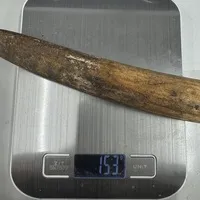 ͔n()/ 153g/iiNo.k_a009)