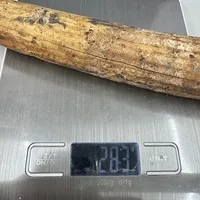 ͔n()/ 283g/iiNo.k_a012)