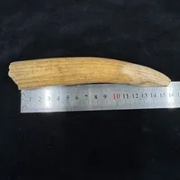 ͔n()/ 92g/iiNo.k_a015)