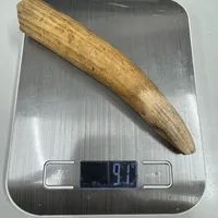 ͔n()/ 92g/iiNo.k_a015)