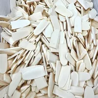 �ۉ� ����(��) (BNo.TZ-13006)